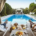 Grand Passetto Hotel 4*